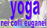 Incontri di Yoga sui Colli Euganei