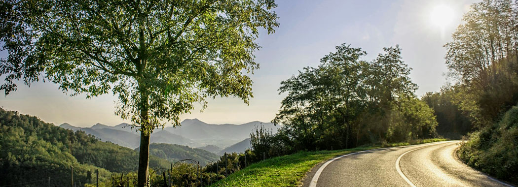 AREA di SOSTA per CAMPER nei Colli Euganei