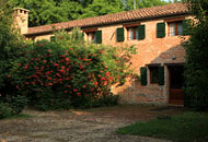 Agriturismo Casa Pisani :: Agriturismo a San Pietro Viminario vicino ai Colli Euganei