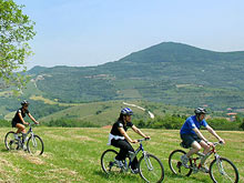 Turismo Euganeo