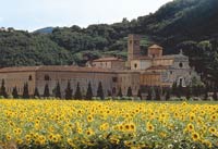 Abbazia di Praglia